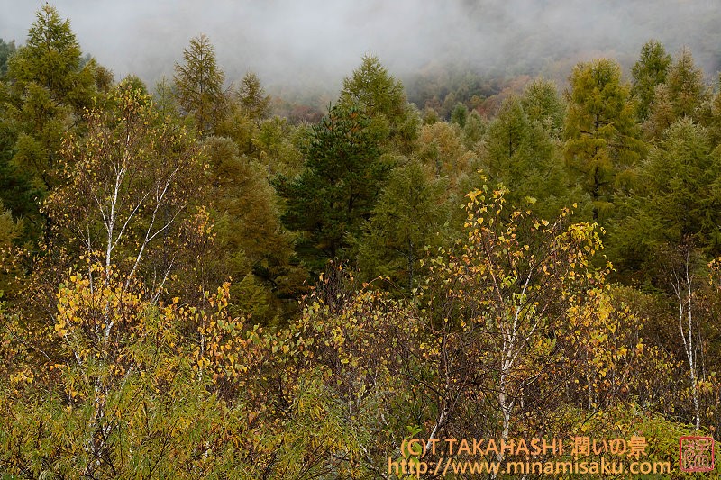 ../Images/7R251026 (209).jpg